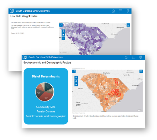Birth Outcomes Initiative Sc Healthviz South Carolina Ehealth Medicaid Statistics Elective C Section Birth Plan Template