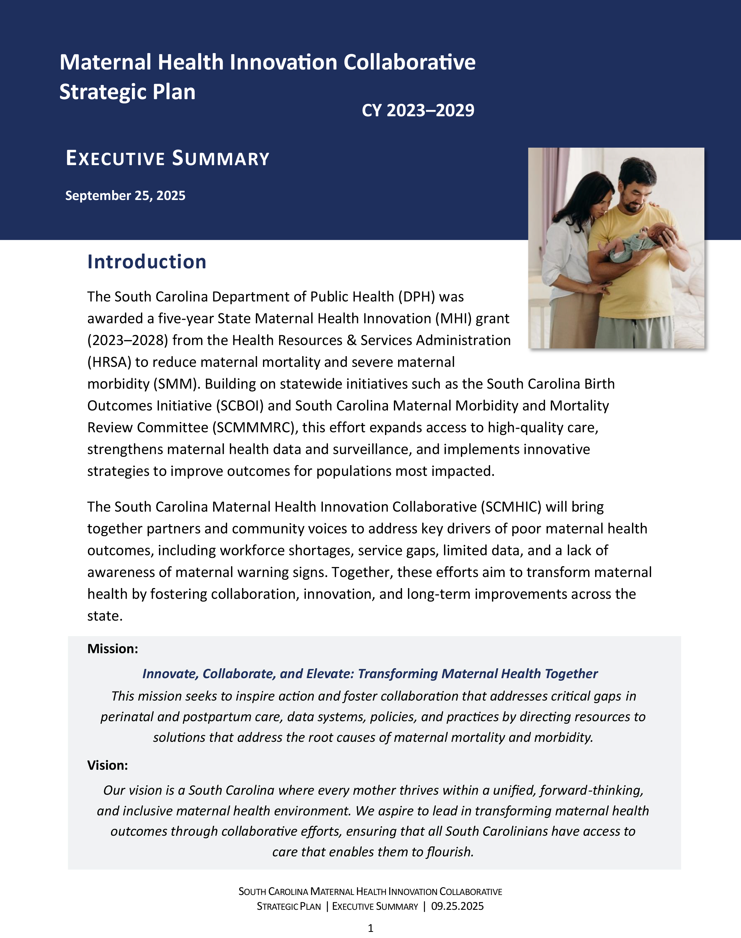 SCMHIC Strategic Plan Executive Summary thumbnail.