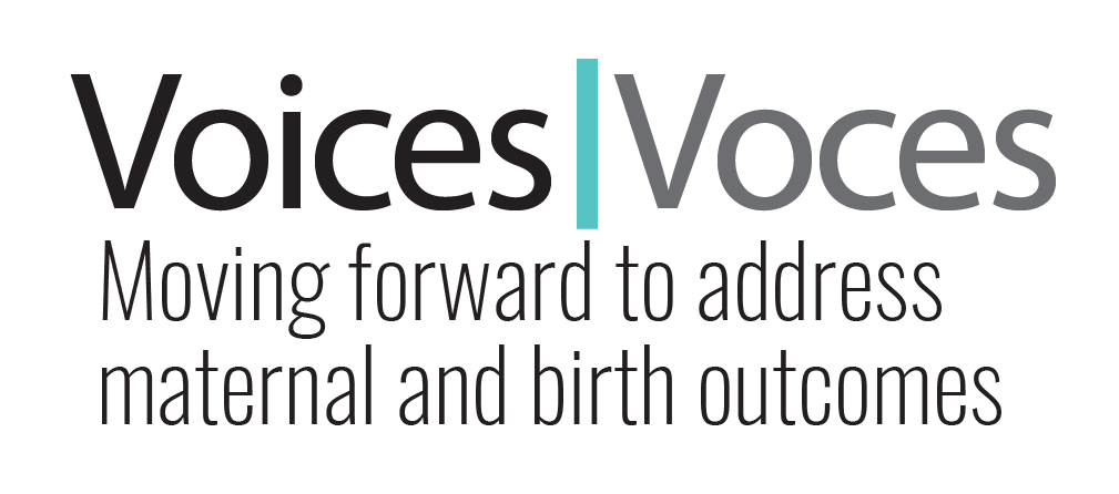 Voices/Voces english logo.