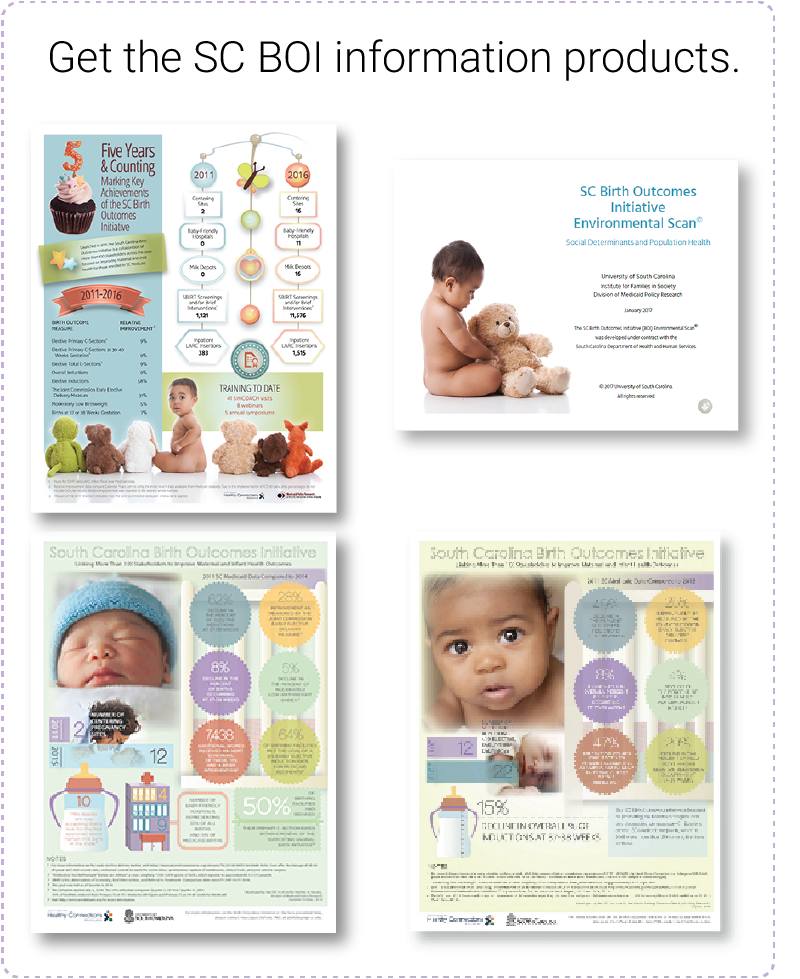 Click to access the SC BOI information products as pdfs Click to access the SC BOI information products as pdfs