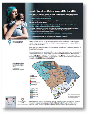 Click here for the SC Deliveries and Births 2018 fact sheet