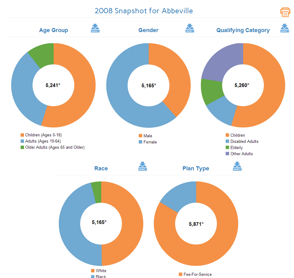 Screenshot of ring charts available for single year view