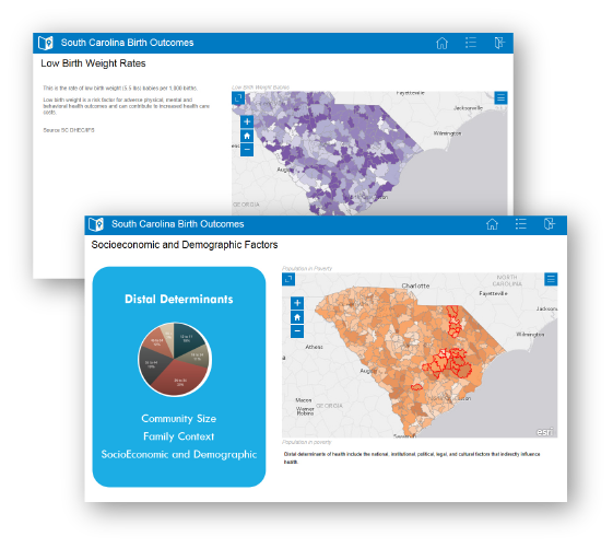 Pages from Esri Briefings Book